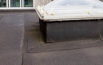 disadvantages of South Duffield flat roofs