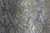 South Duffield fibreglass roof work